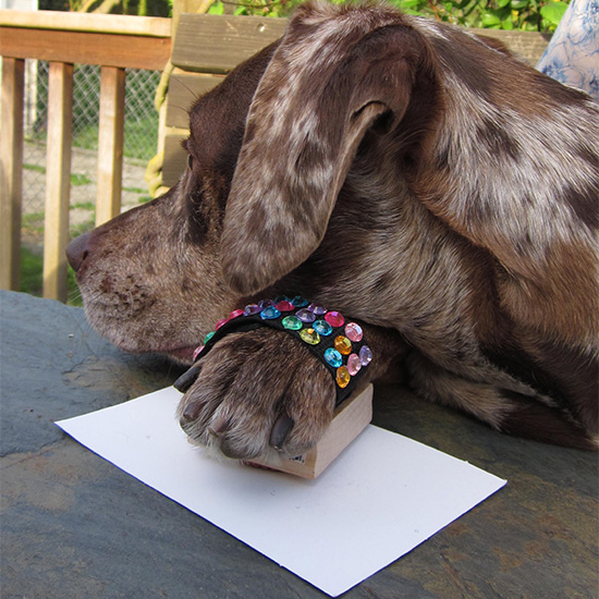 Brandi stamping on a piece of paper