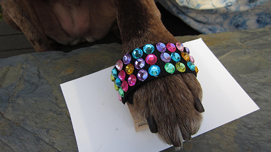 Brandi stamping on a piece of paper